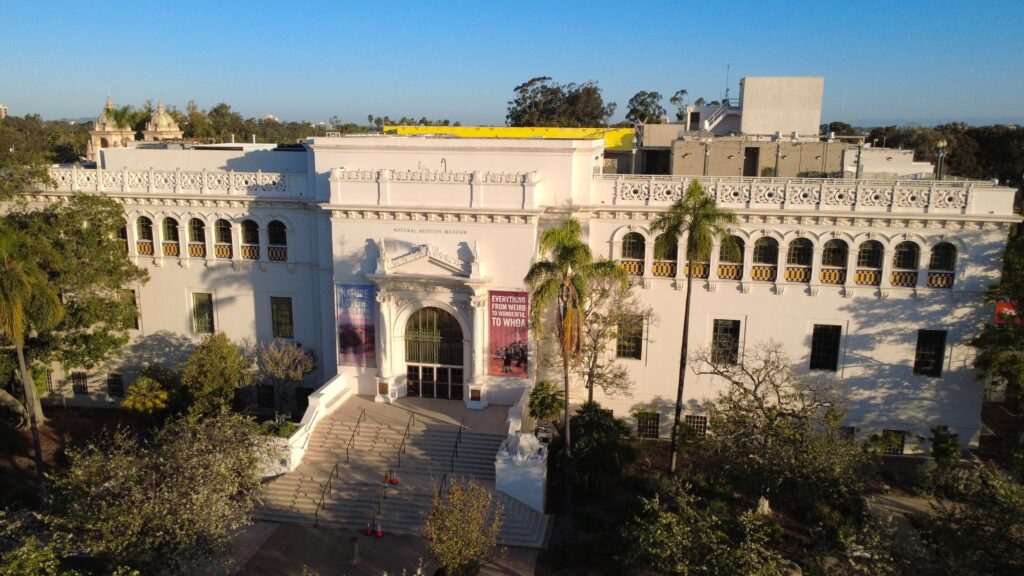 Grand white facade with arched entryway